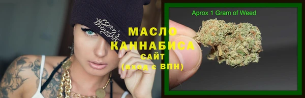 гашик Бородино