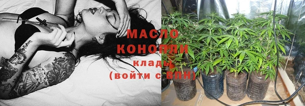 гашик Бородино