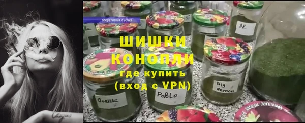 гашик Бородино
