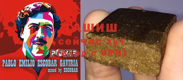 гашик Бородино