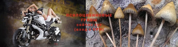 jwh Бронницы