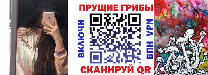 Псилоцибиновые грибы мицелий  купить наркоту  Грайворон 